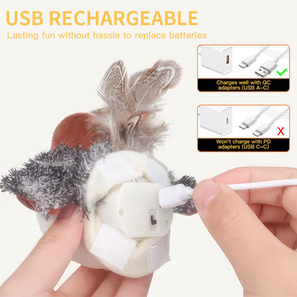 🐾2025  Interactive Bird Chirping Cat Toy