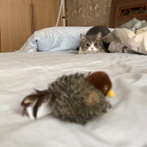 🐾2025  Interactive Bird Chirping Cat Toy